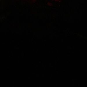 Meet your Posher, Phung